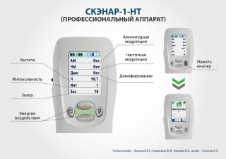 СКЭНАР-1-НТ (исполнение 01)  в Звенигороде купить Медицинская техника - denasosteo.ru 